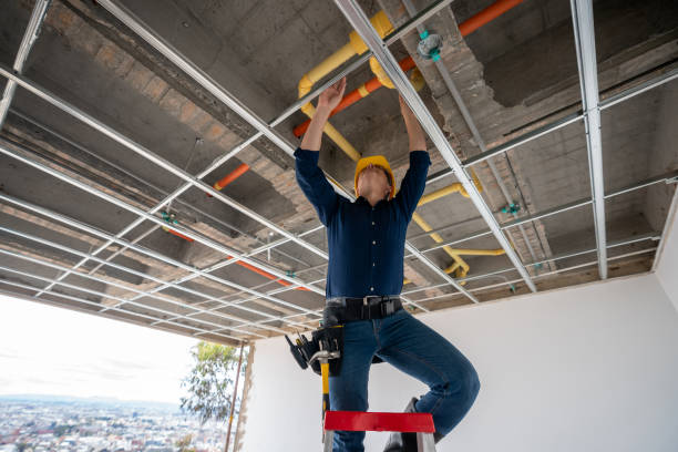 Best Commercial Plumbing Services  in Bowling Green, MO